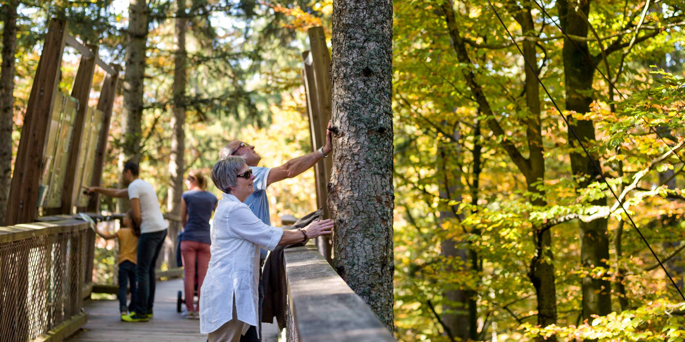 Menschen am Baumwipfelpfad im Bayerischen Wald