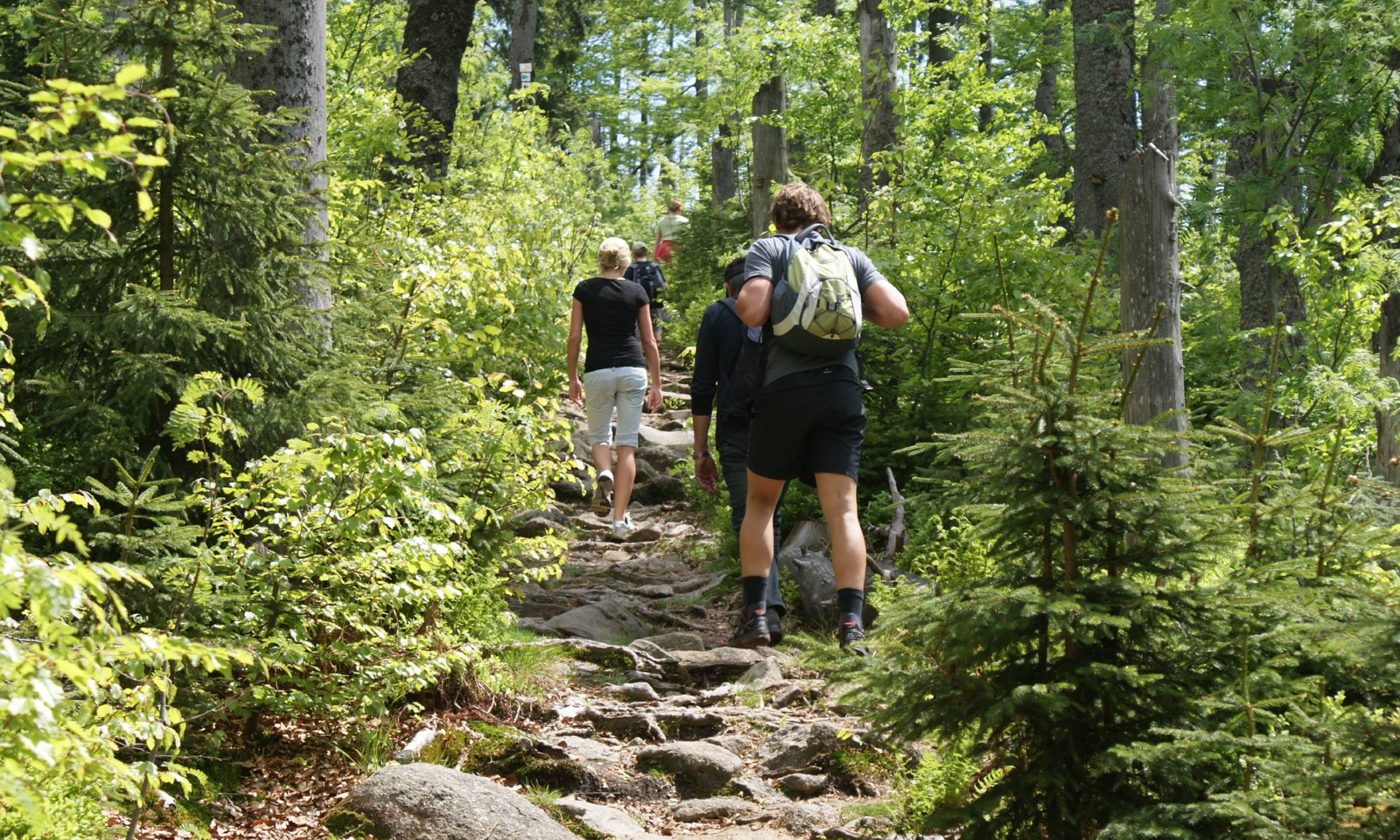 Teufelsloch Nationalpark Bayerischer Wald