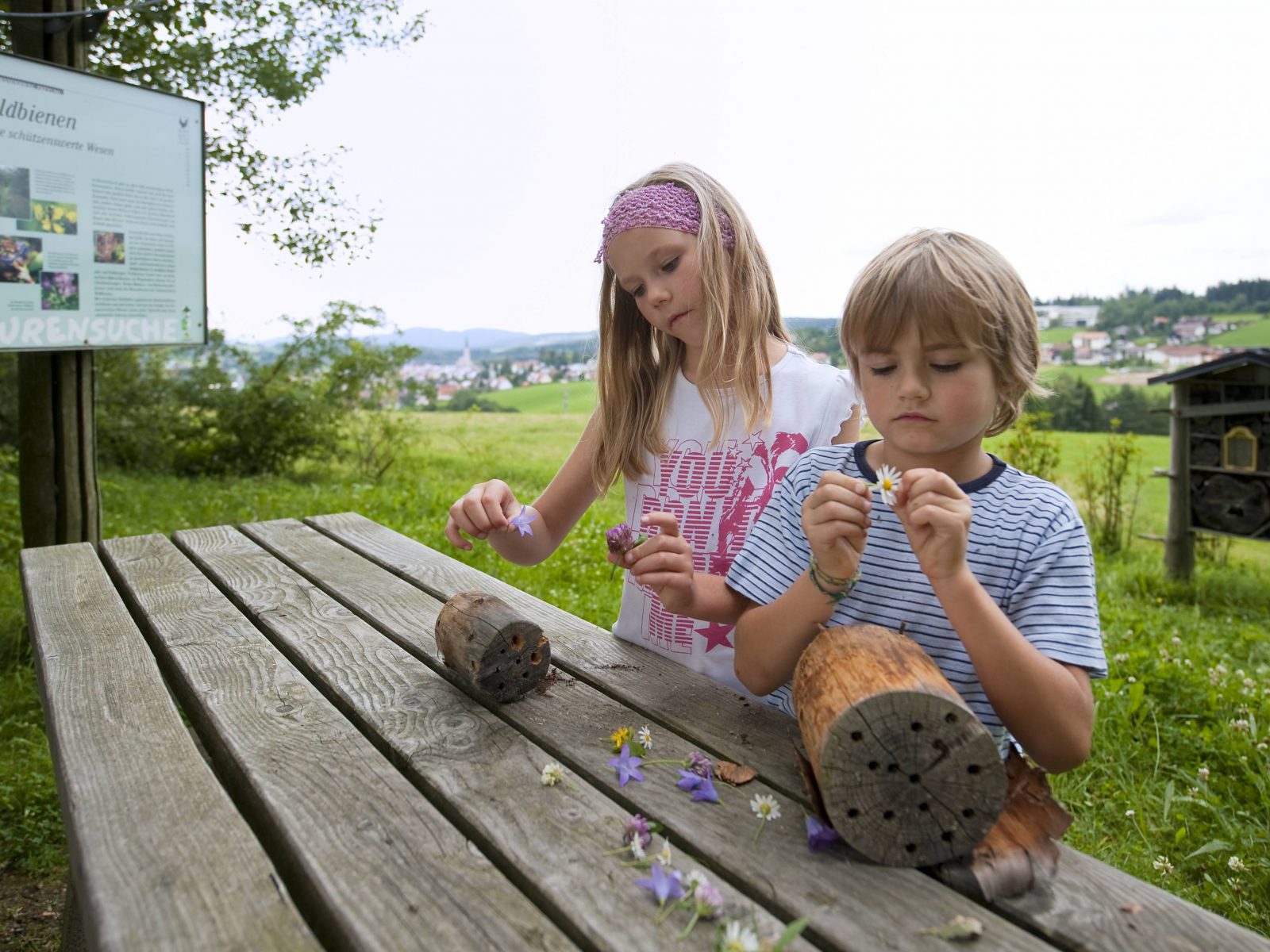 Kinder im Bienenlehrpfad Bayerischer Wald