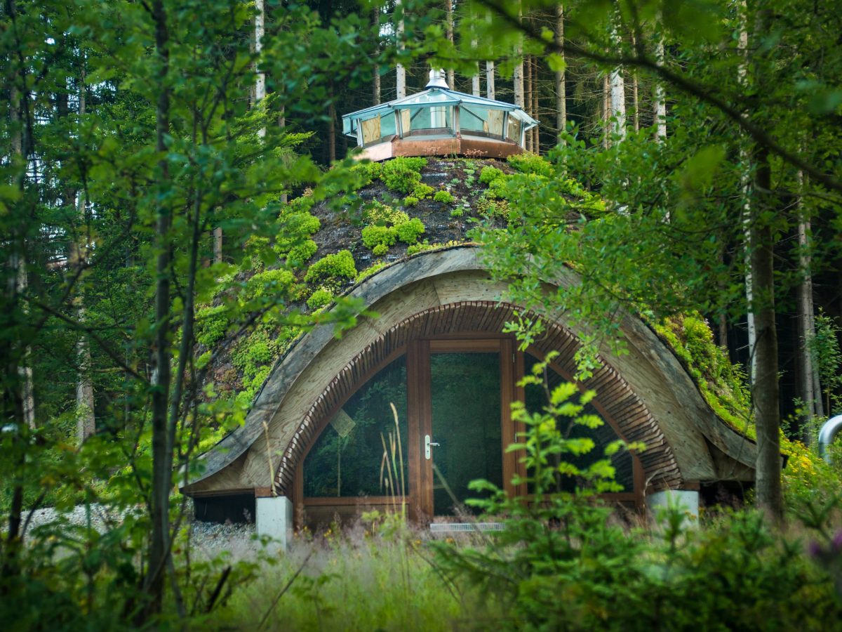 Wildniscamp Erdhöhle