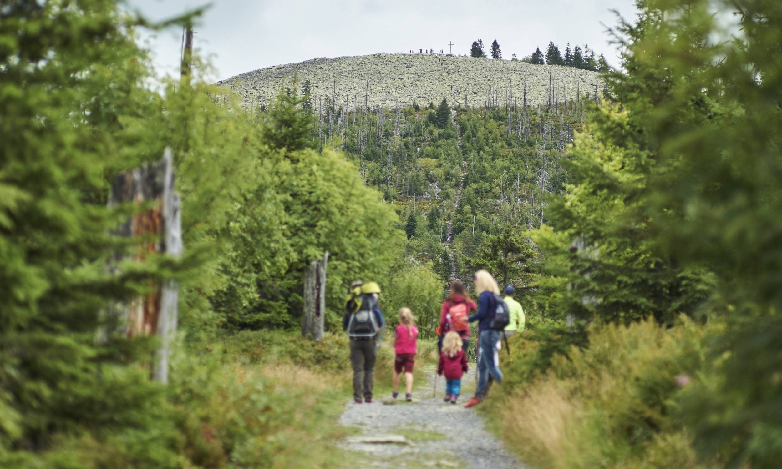 Wandern am Lusen