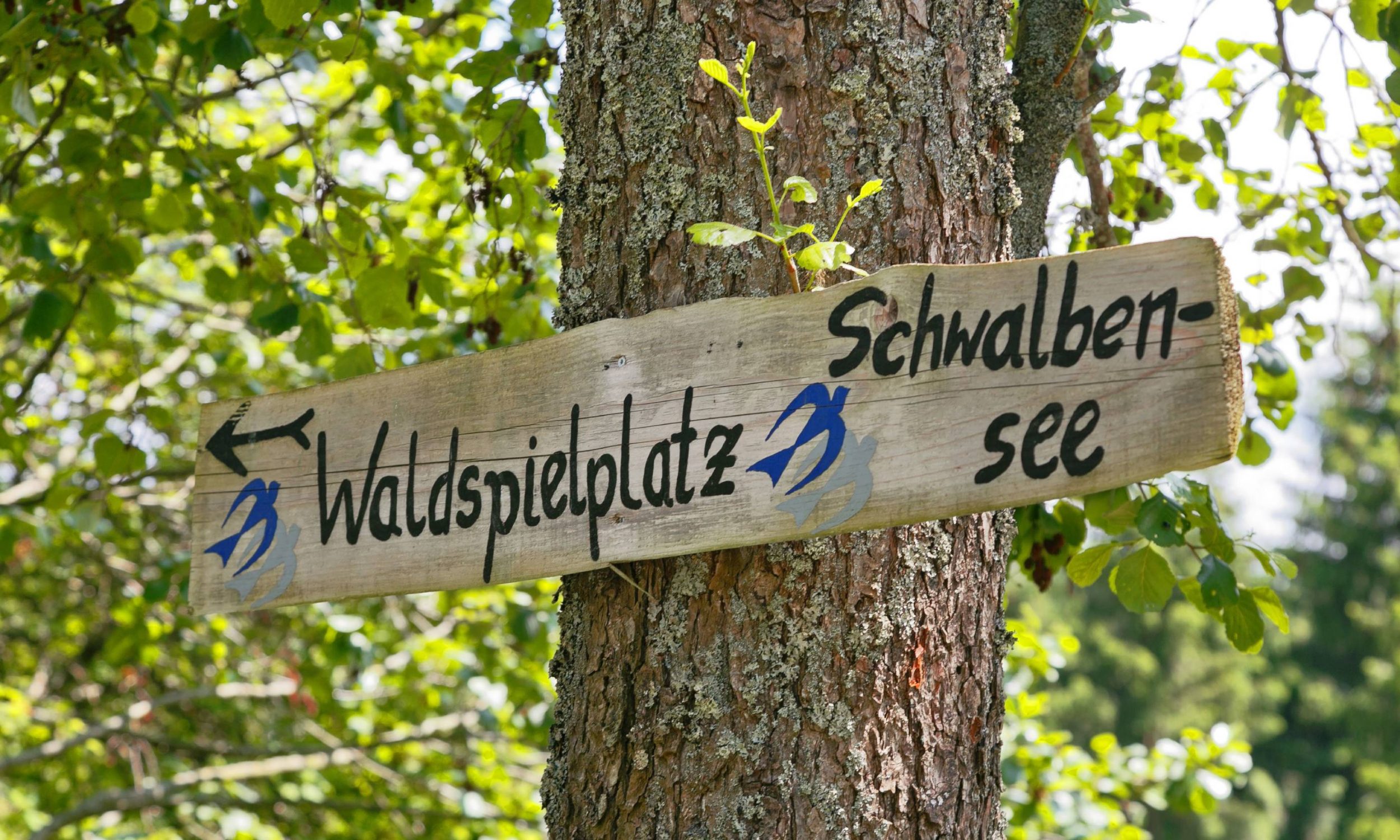 Waldspielplatz Knaus Campingpark