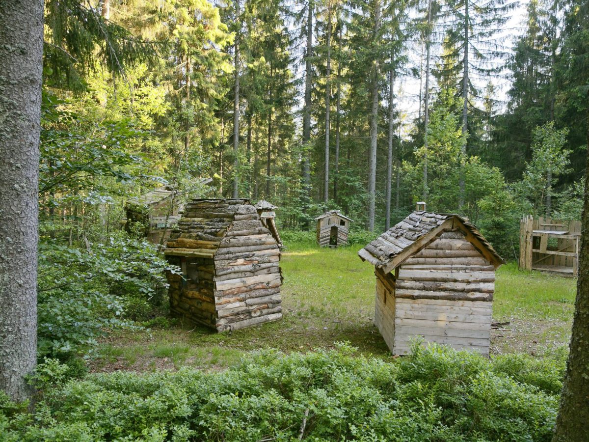 Hütten im Campingpark Lackenhäuser