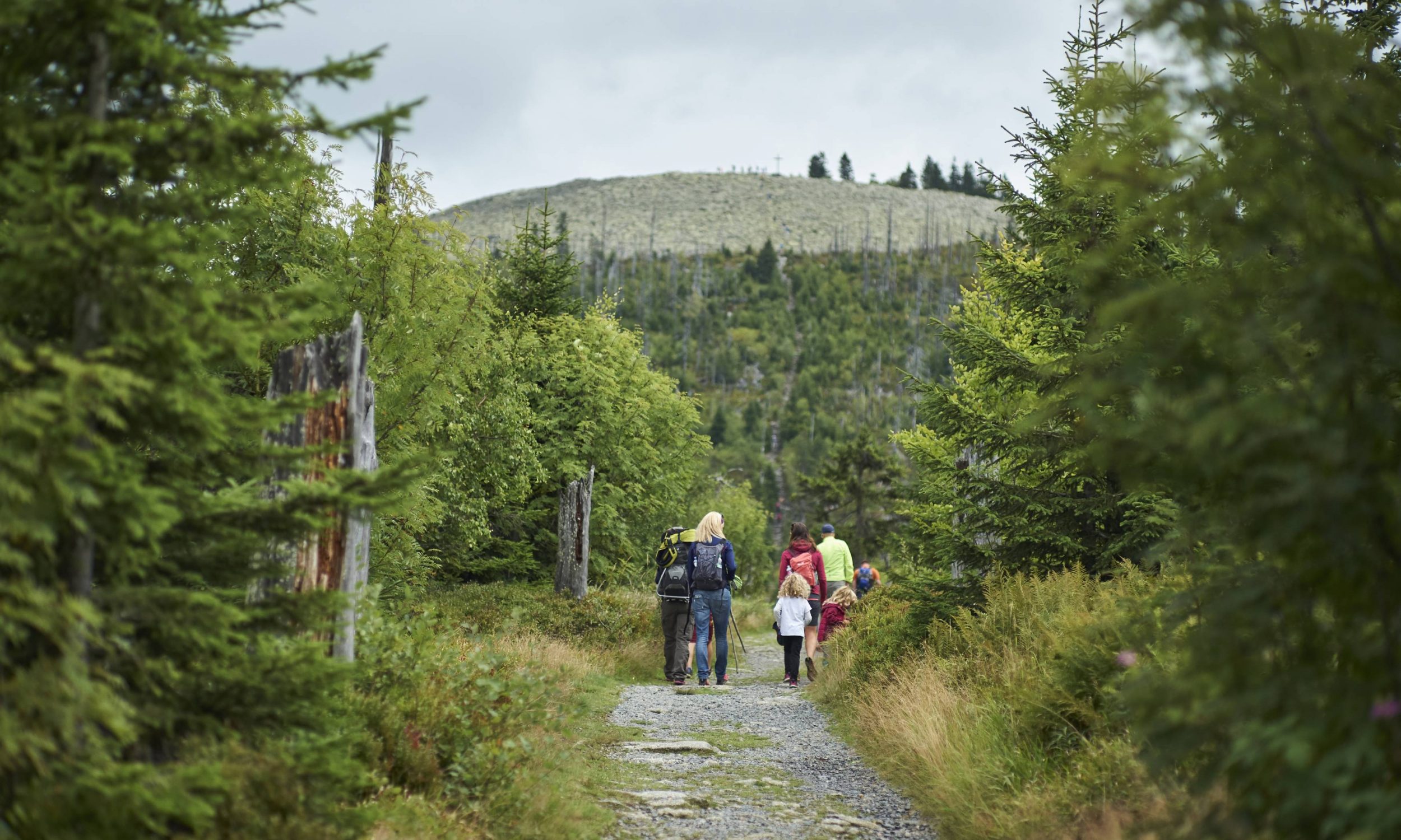 Wandern am Lusen