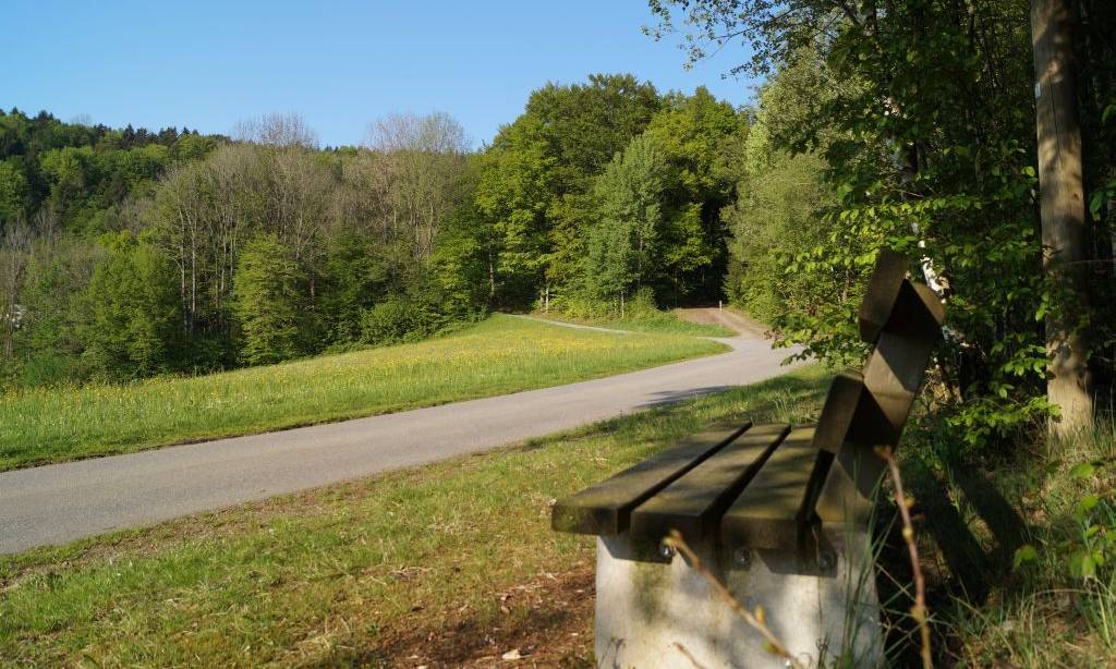 Frauenstein Ruhebank