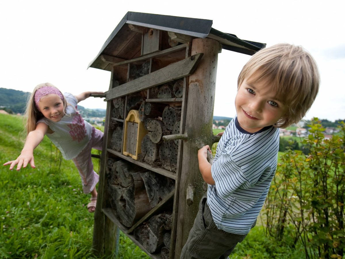 Lehrpfade & Themenwege Titelbild