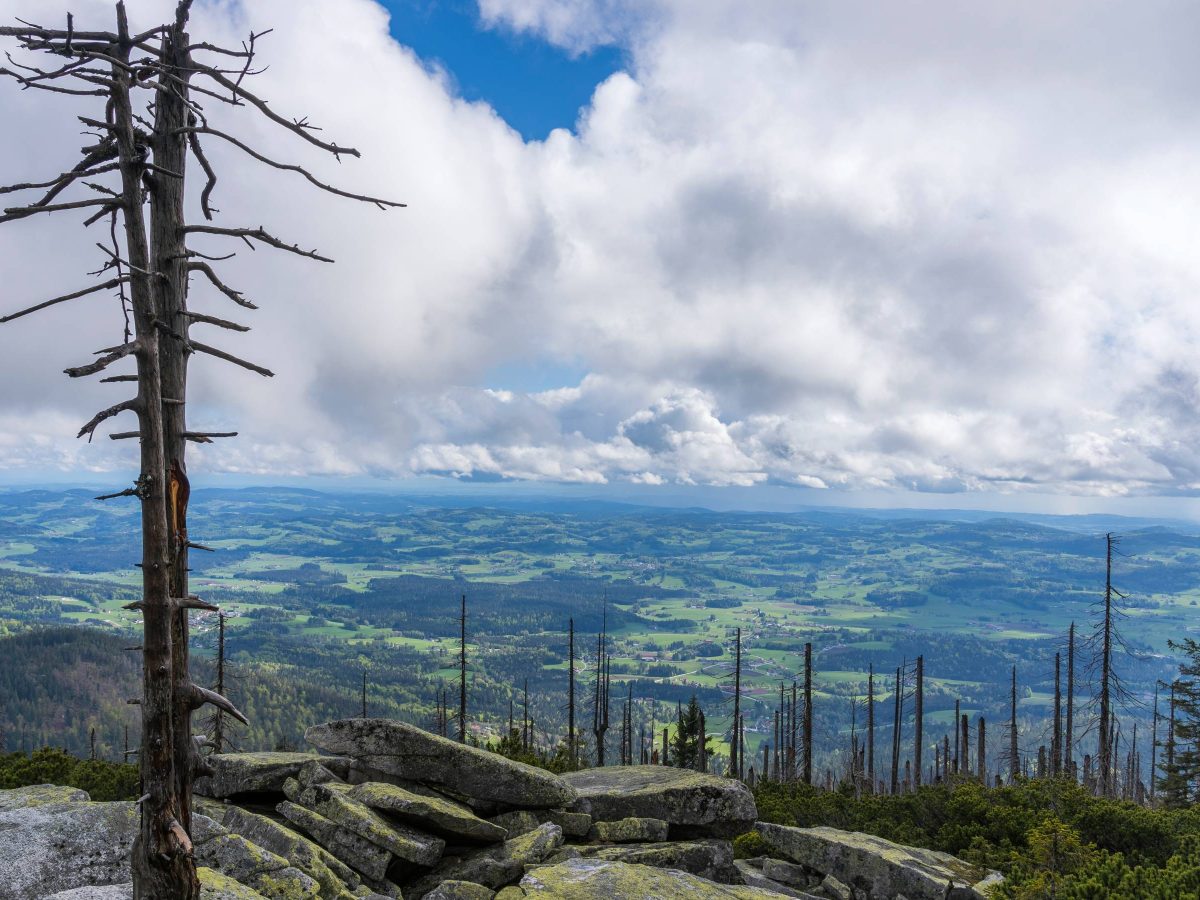 Plöckenstein Aussicht