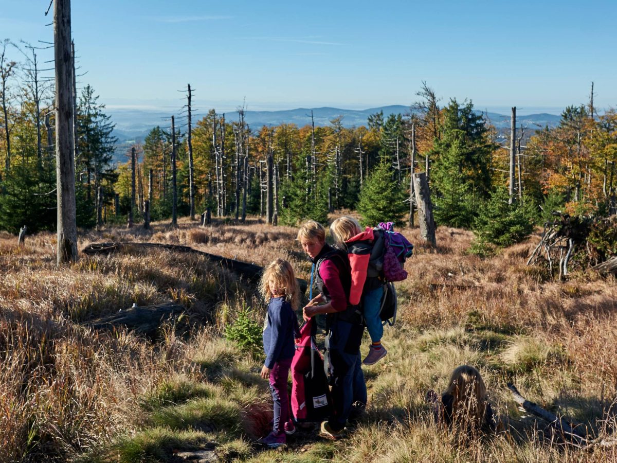 Geführte Wanderungen Titelbild