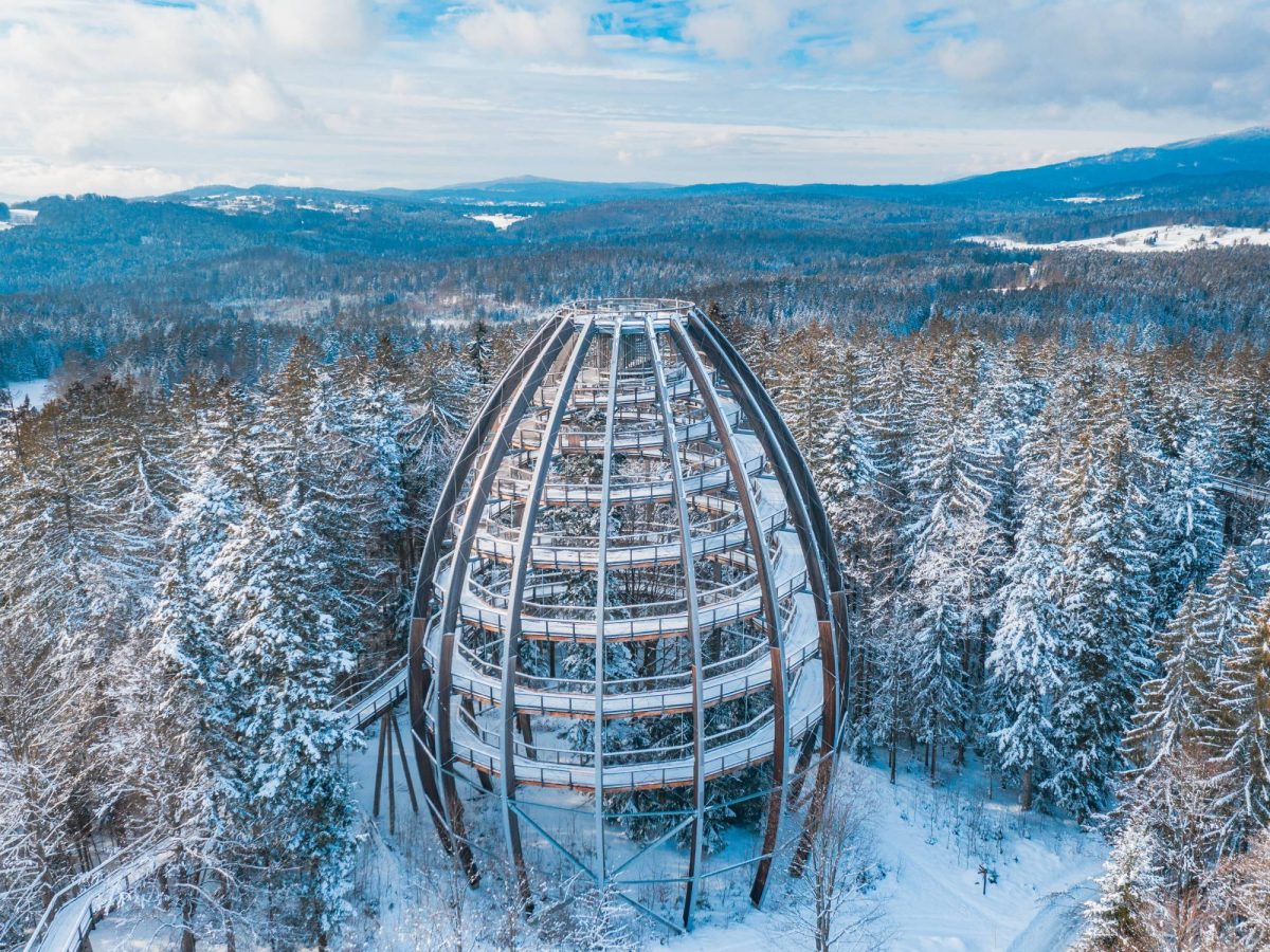 Baumwipfelpfad Bayerischer Wald im Winter