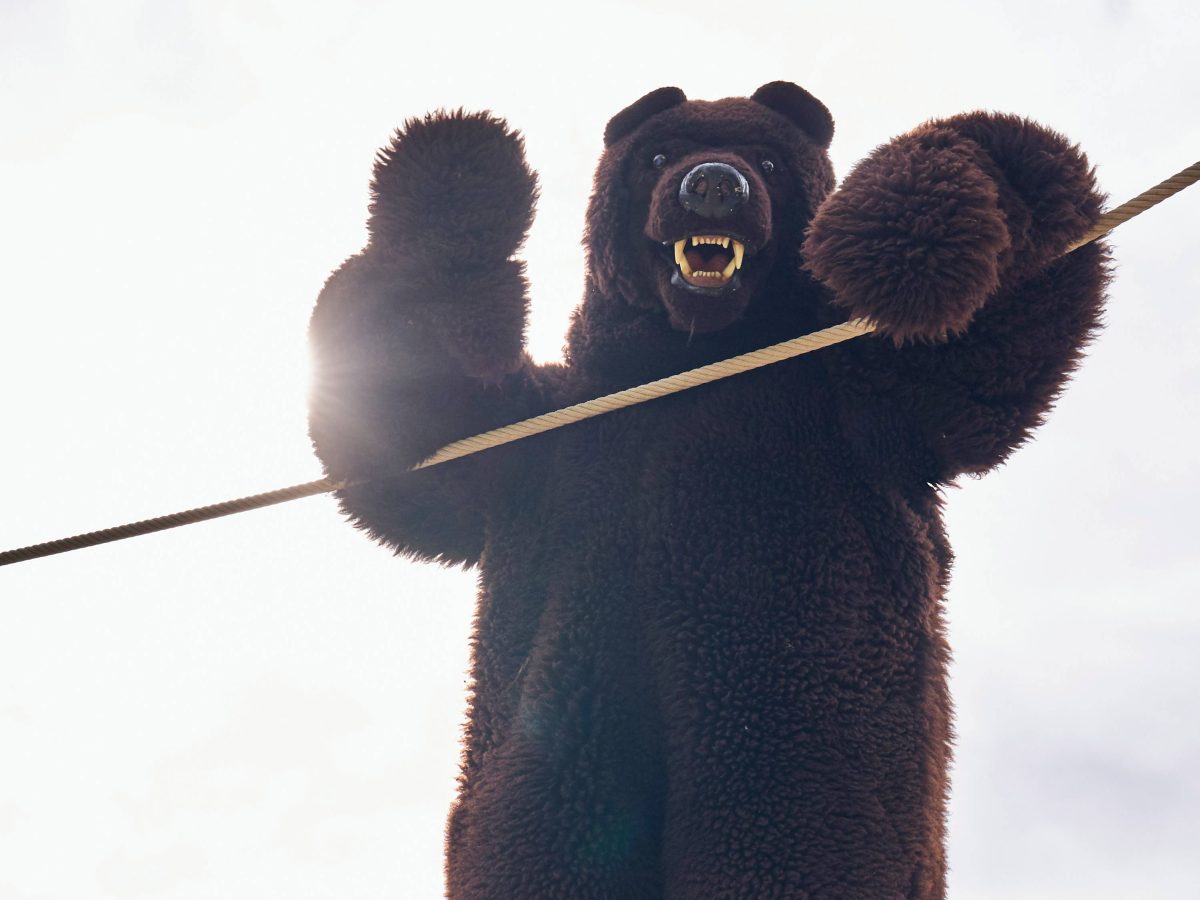 Bär Bärtl winkt