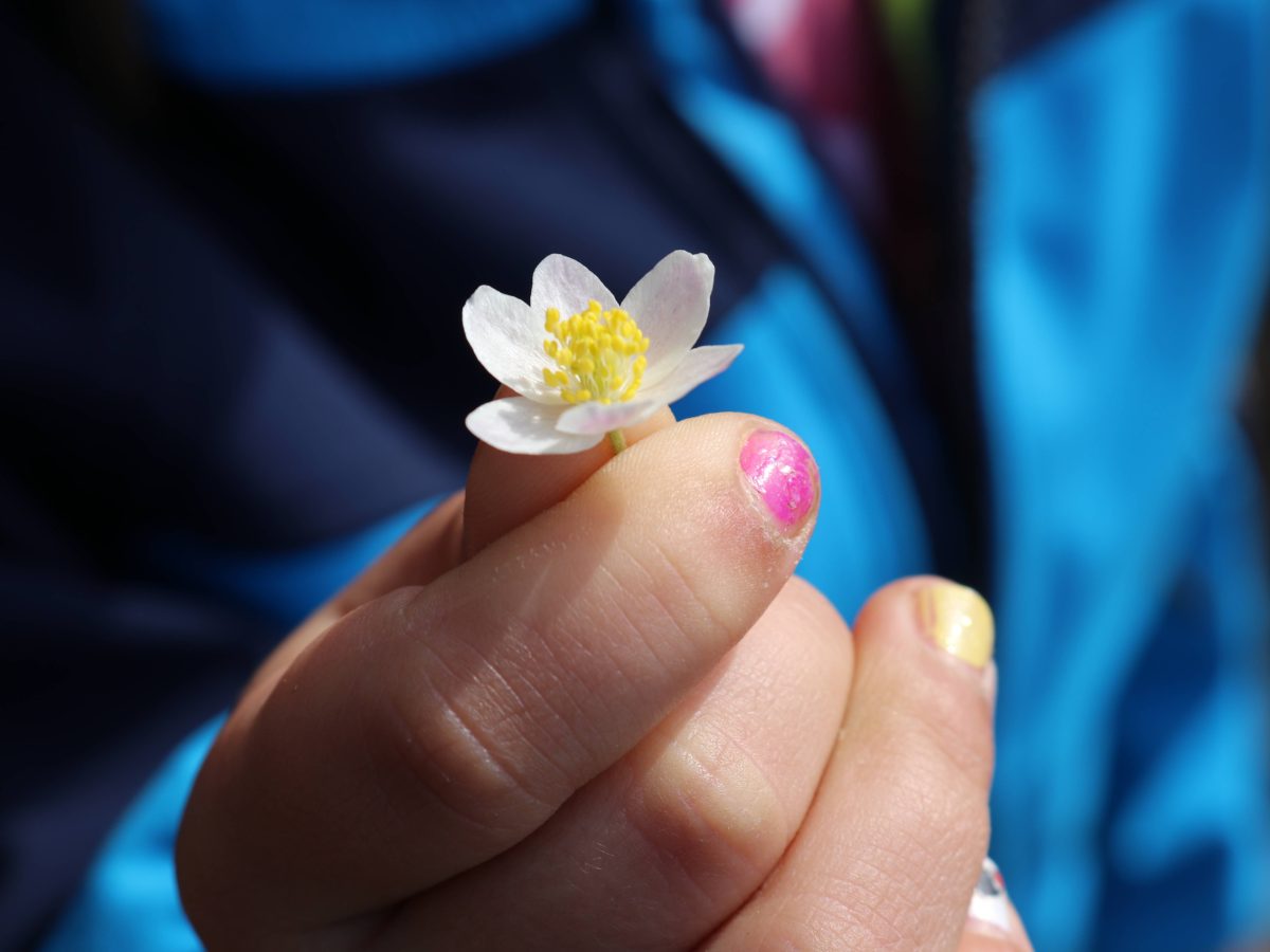Naturvision Umweltbildung Programm für Kinder