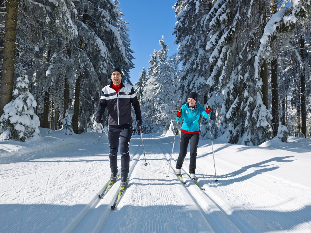 Langlauf & Skaten Titelbild