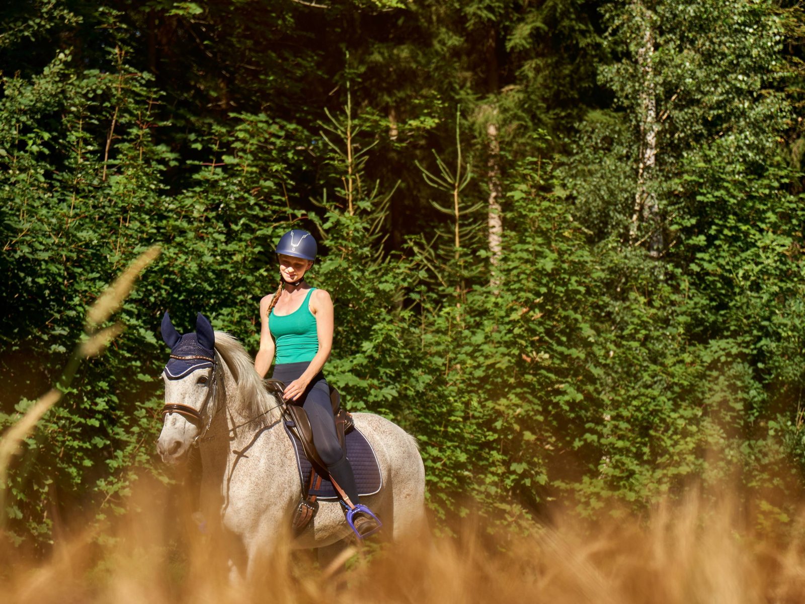 Ausreiten im Wald