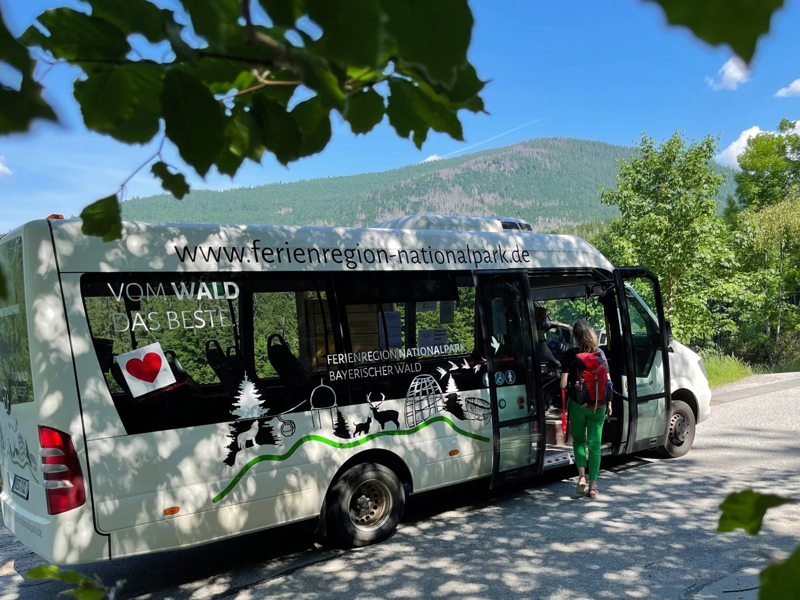 FNBW Falkensteinbus
