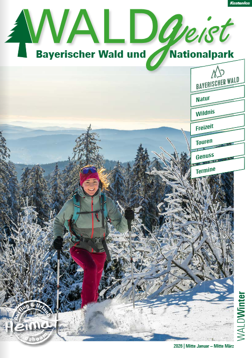 Waldgeist Januar/Februar 2026