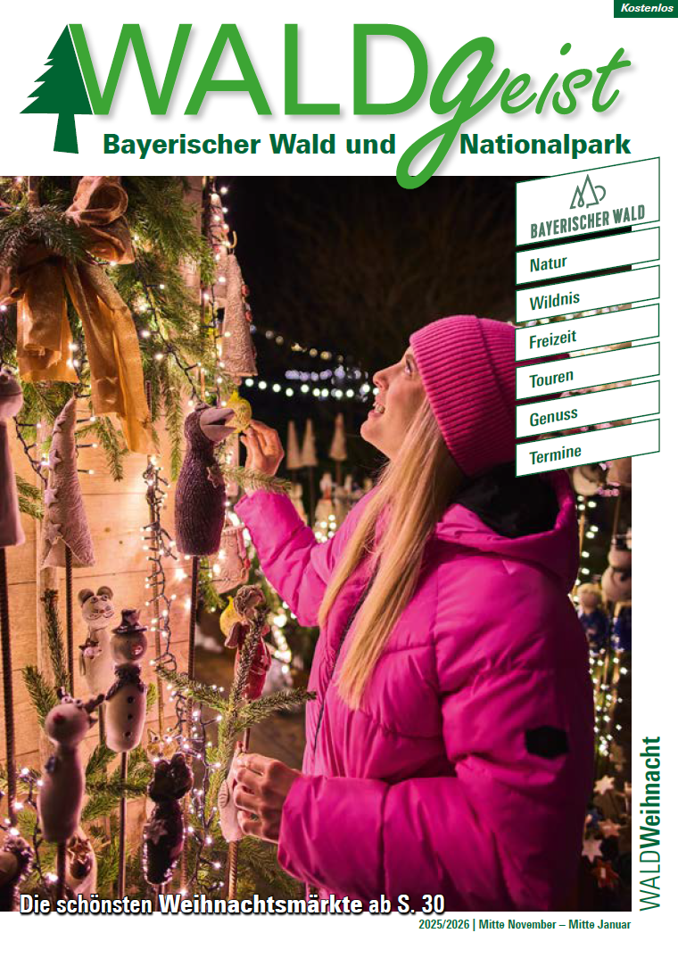 Waldgeist Weihnachten 2025