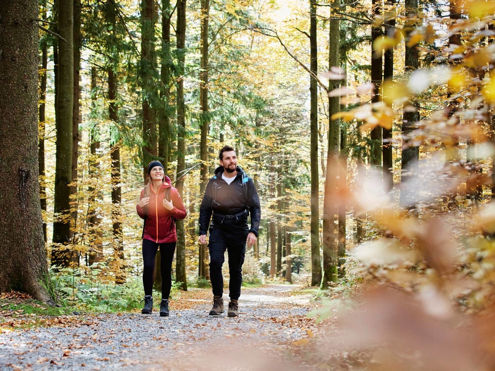 Wanderung am Haidel