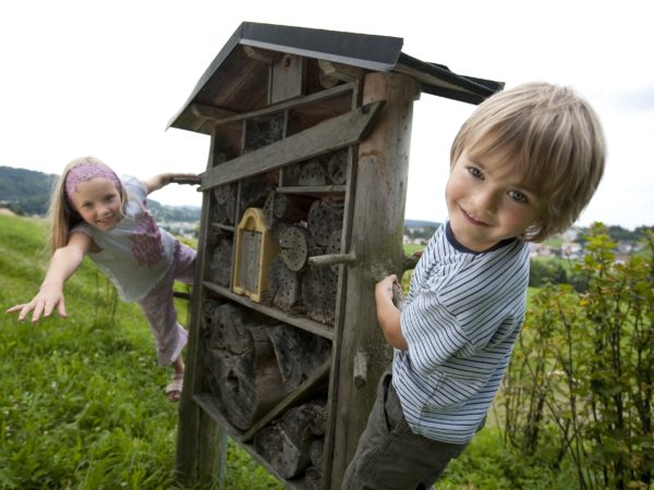 Pressebild Kinder Nationalpark-FerienLand Bayerischer Wald