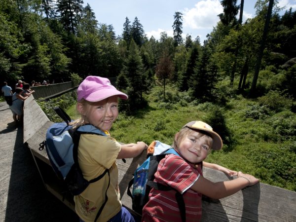 Pressebild Kinder Nationalpark-FerienLand Bayerischer Wald
