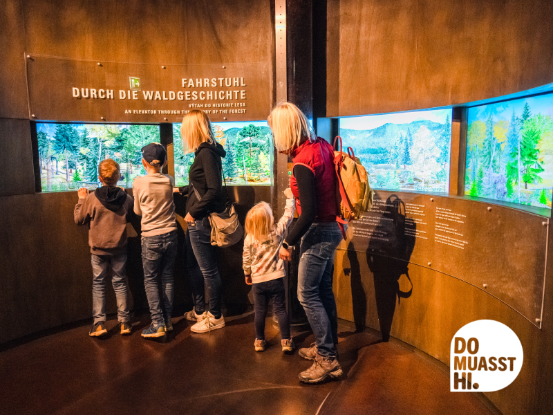 Waldgeschichtliches Museum