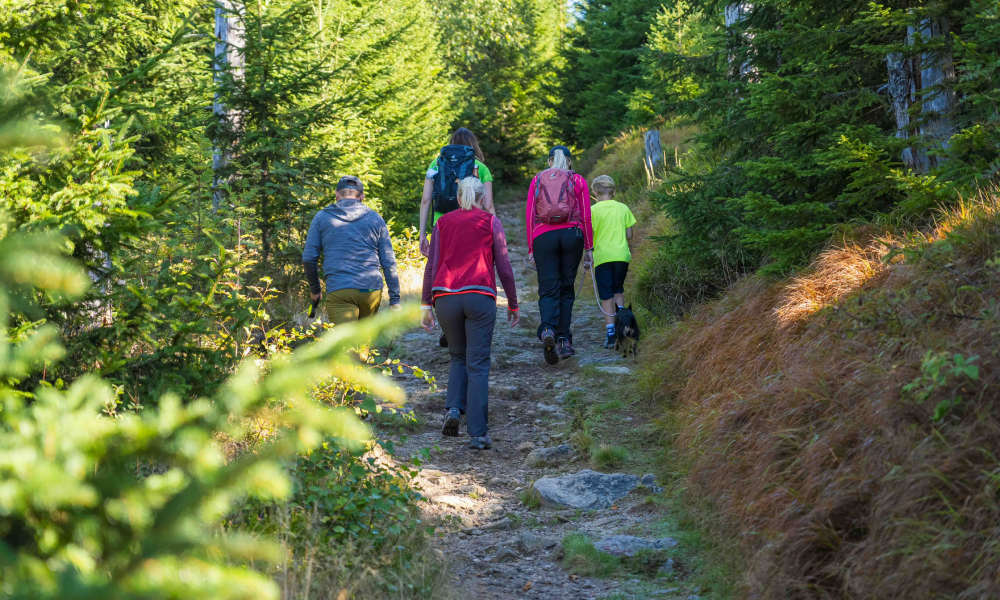 Siebensteinkopf Nationalpark Bayerischer Wald