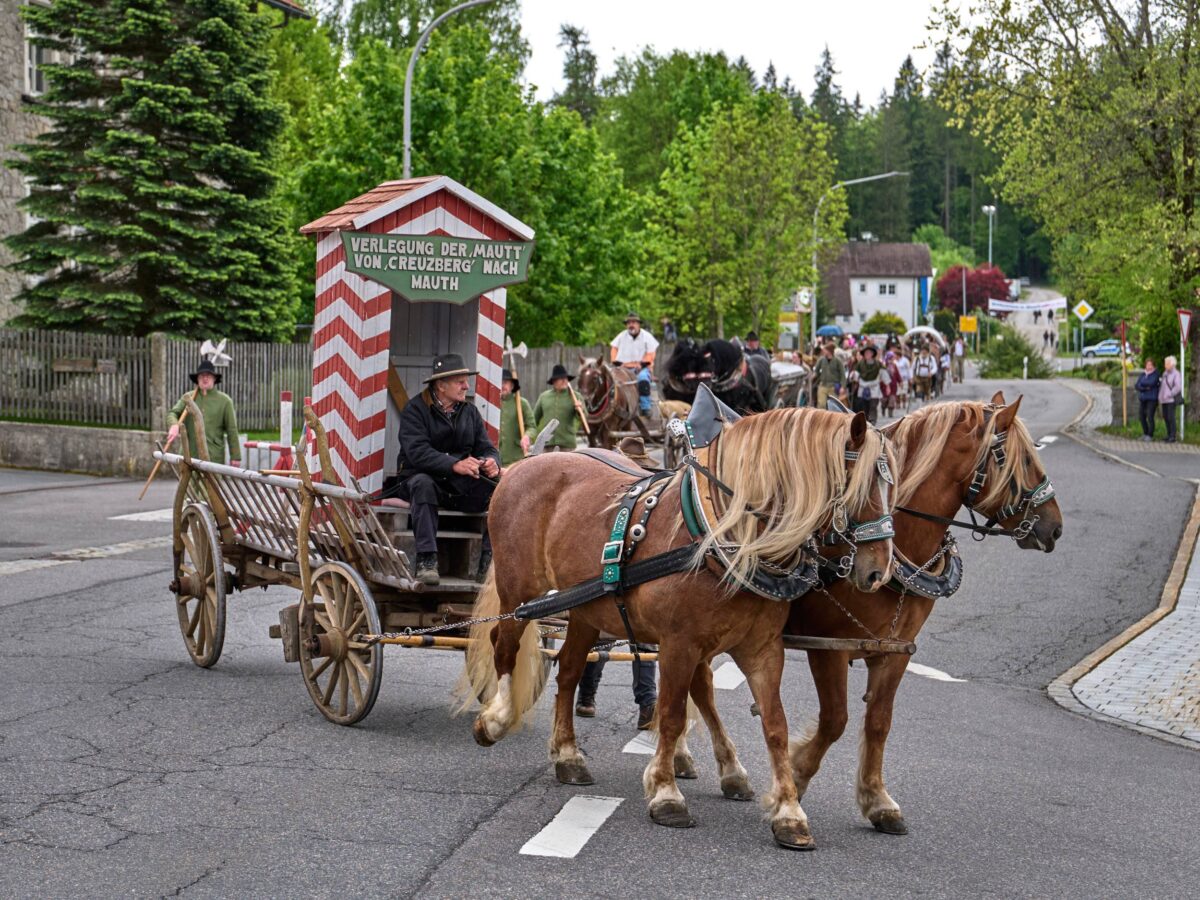 Säumerzug in Mauth beim Heimatfest, Kutsche mit 2 Pferden