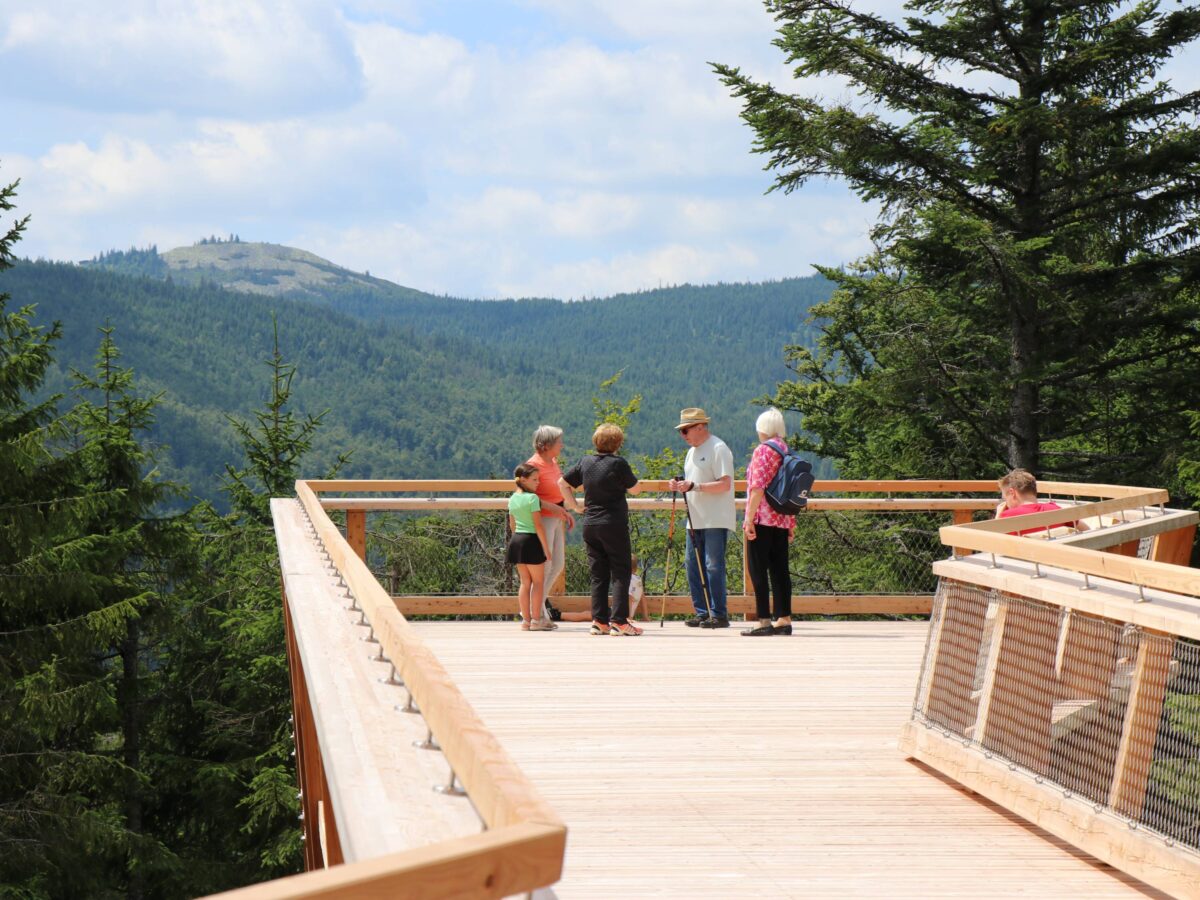 Naturerlebnis Wistlberg Aussichtsplattform