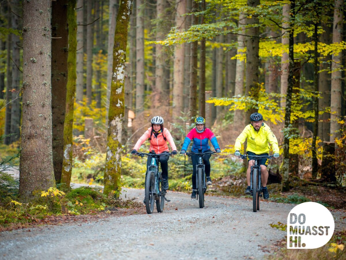 Mountainbiken auf der Trans Bayerwald, DO MUASST HI