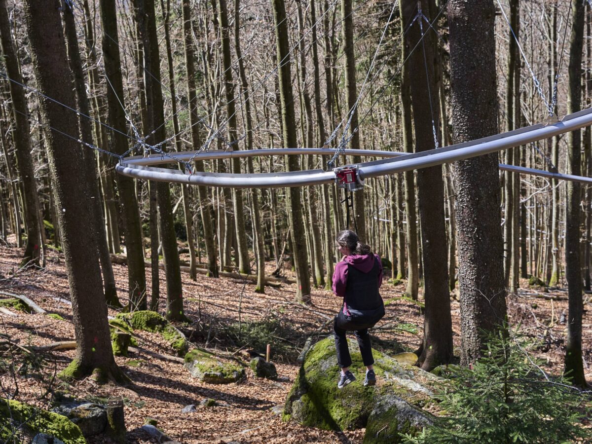 Fly-Line in Mitterdorf, Fliegen im Wald