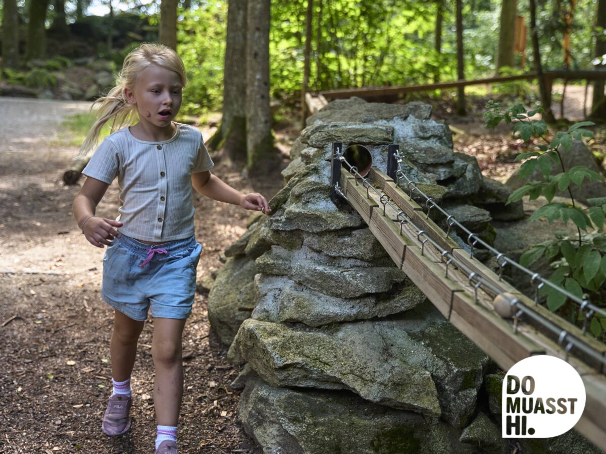 DO MUASST HI - Geyersberg Freyung, neuer Aussichtsturm, Spielplatz und Kugelbahn